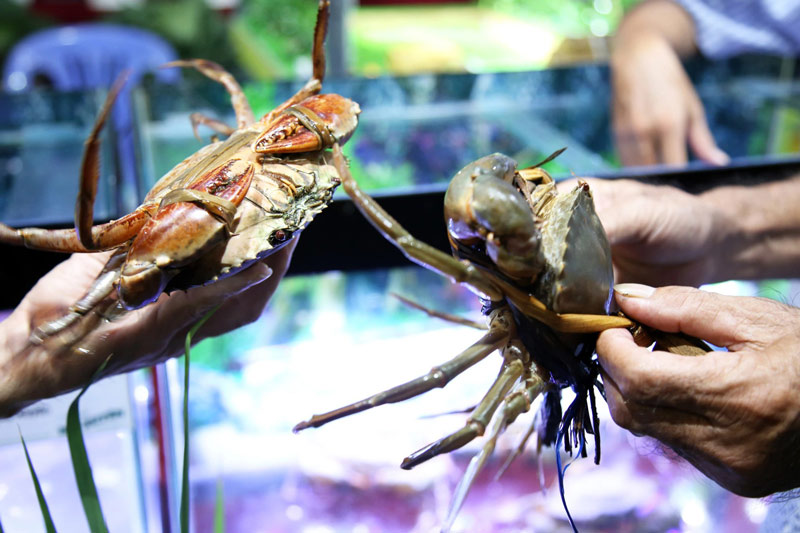 Things to do in Soc Trang. Indulge in seafood