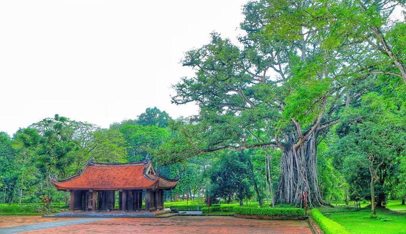 Things to do in Thanh Hoa Travel Tips