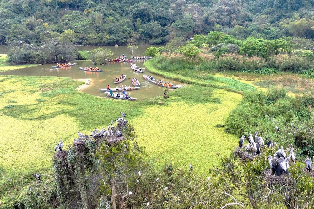 Thung Nham bird park. Birdwatching at Thung Nham Bird Park. Diverse Birdlife