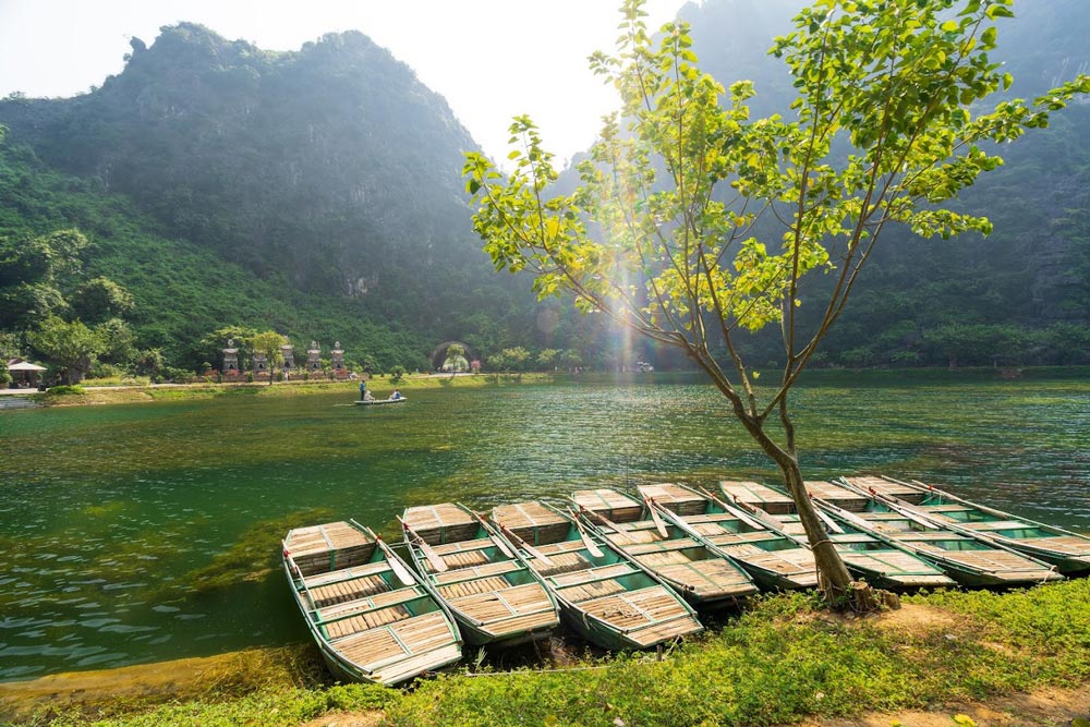 Thung Nham bird park. Planning Your Visit to Thung Nham Bird Park. Opening Hours