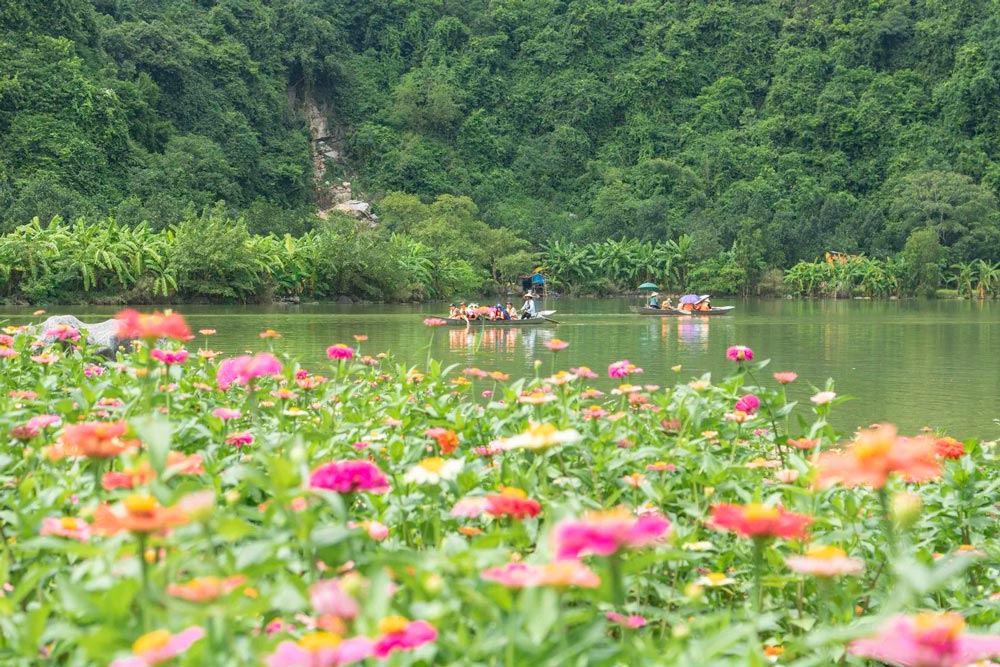 Thung Nham bird park. Thung Nham Bird Park: A Haven for Biodiversity. Thung Nham Ecotourism Zone