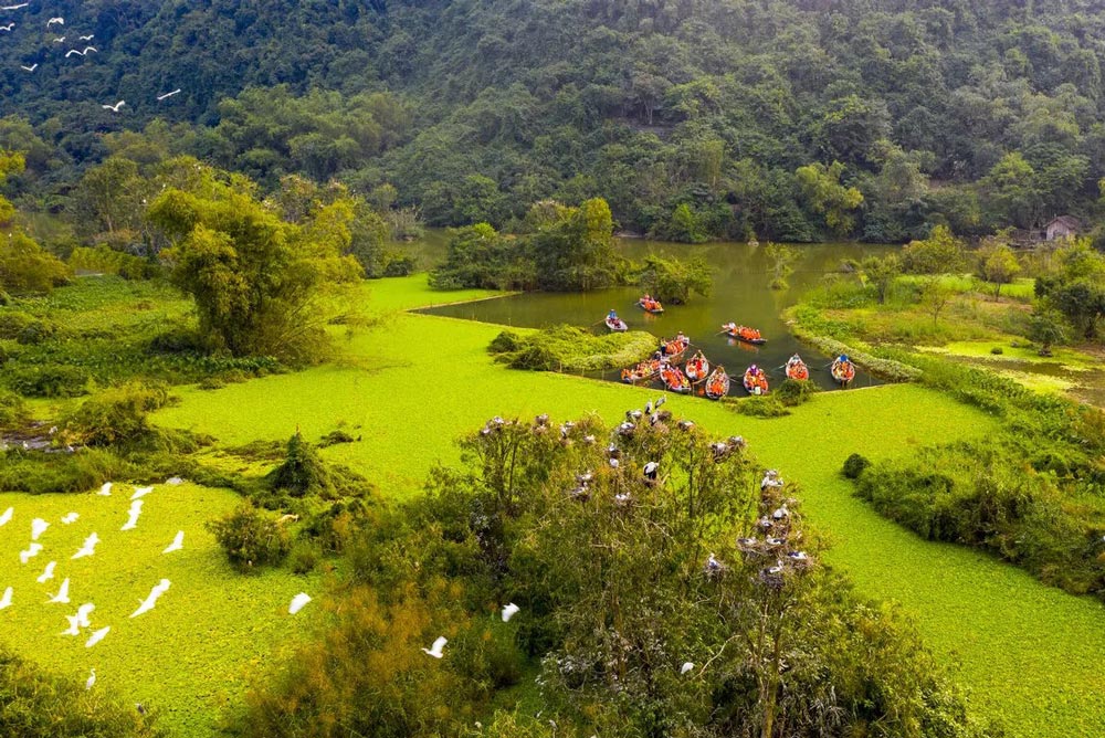 Thung Nham Bird Park: A Bird Lover's Paradise
