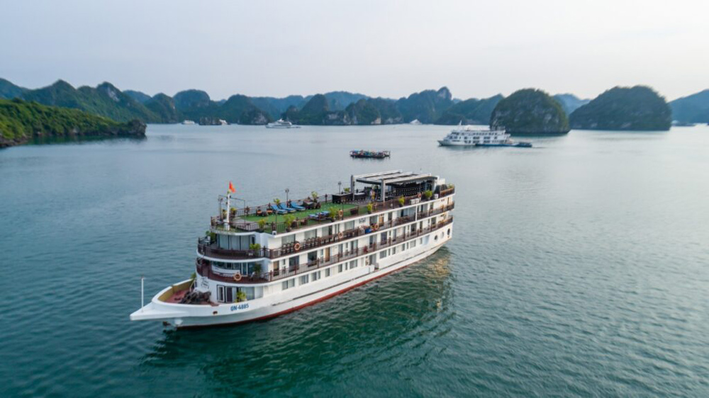 Top rated Halong Bay cruises. Top-Rated Halong Bay Cruises. Mid-Range Cruises. Amanda Cruise