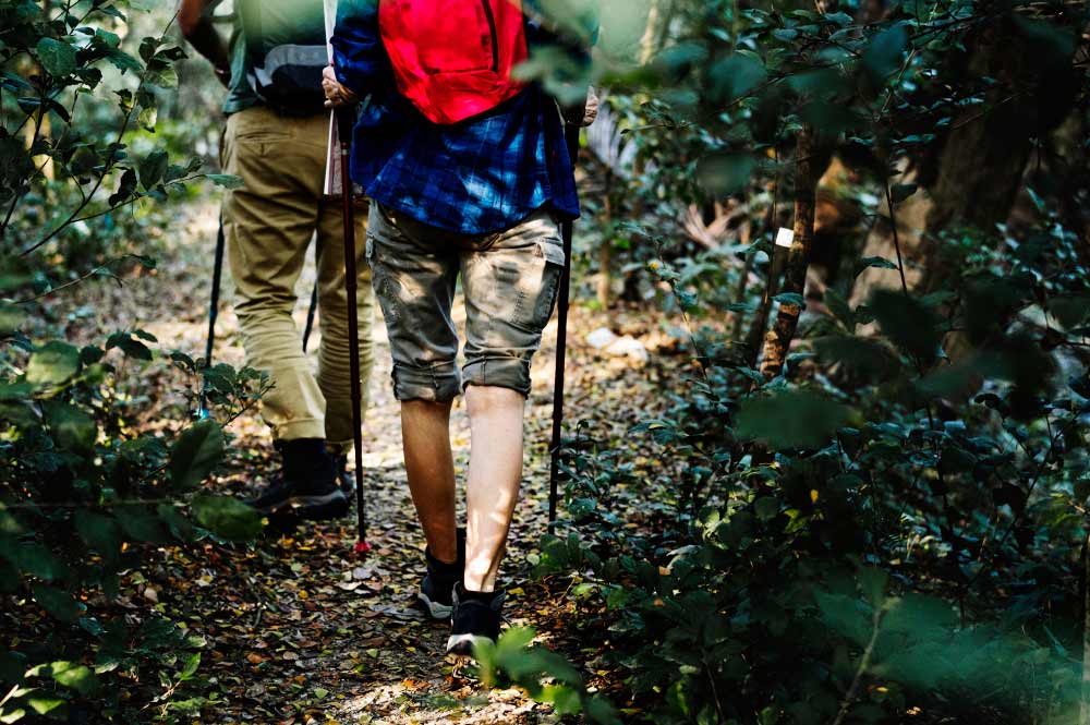 Trekking Vietnam: A Guide for Adventurers of All Levels