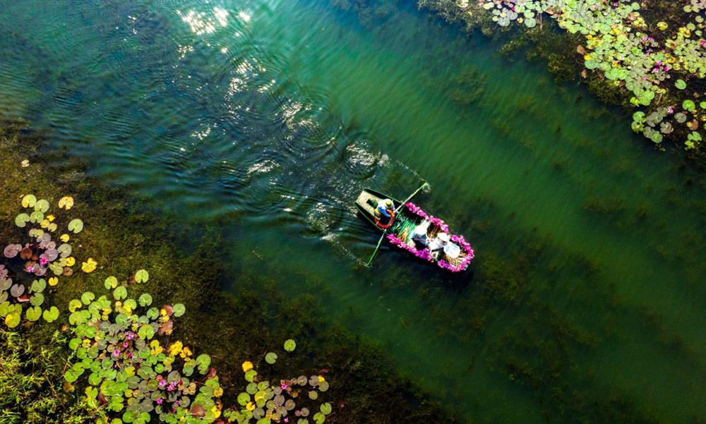 Van Long nature reserve. Planning Your Visit to Van Long Nature Reserve. Van Long Nature Reserve Price / Van Long Nature Reserve Ticket Price / Van Long Nature Reserve Tickets