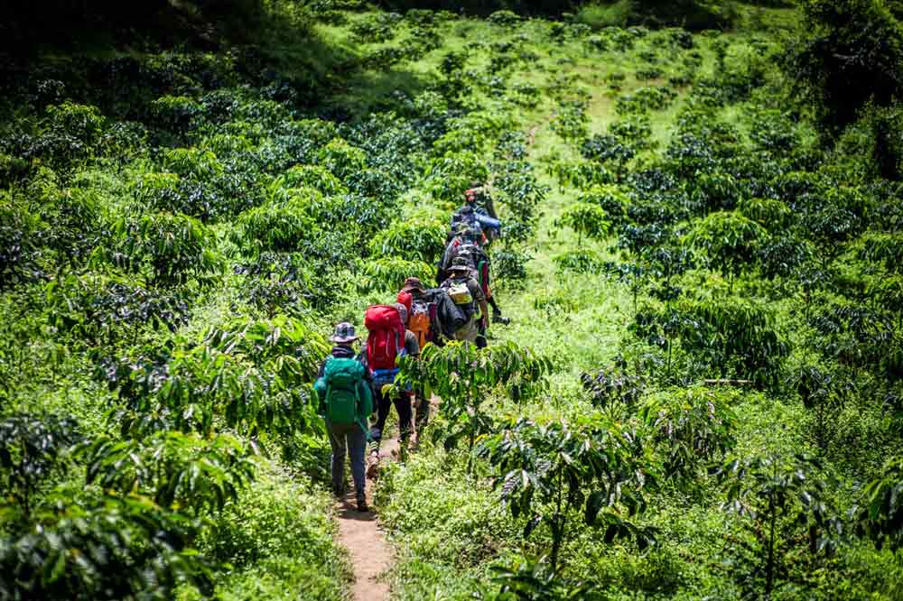 Vietnam eco tours. Trekking through National Parks