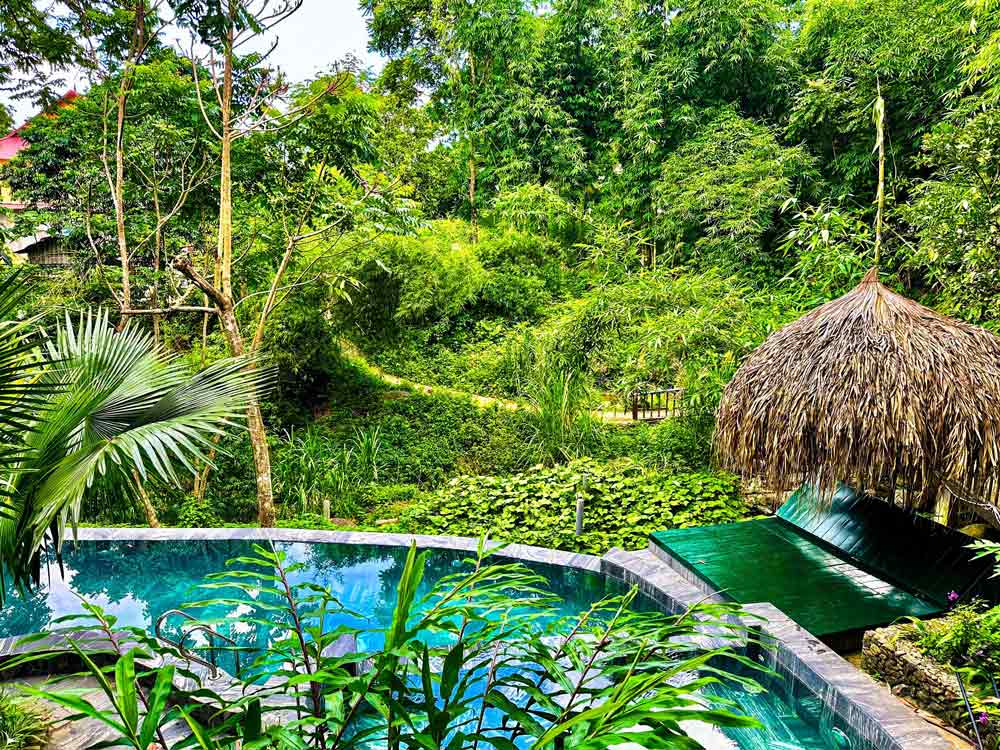 Vietnam resort Jungle Lodge Phong Nha