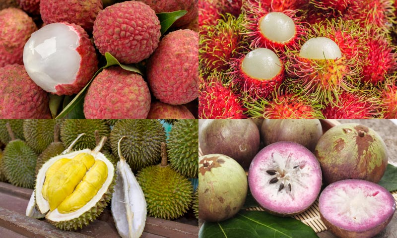 Vietnamese Fruits Must-Try Vietnamese Fruits
