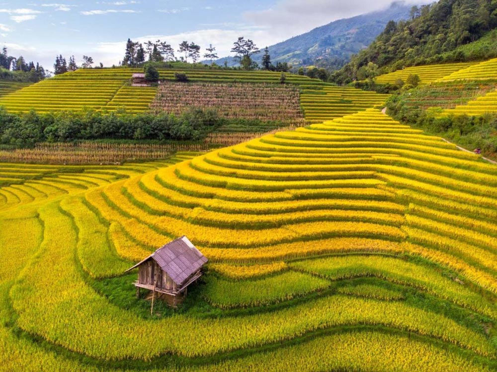 Weather in Sapa in October. What Is the Weather Like in Sapa in October? Temperatures and Climate