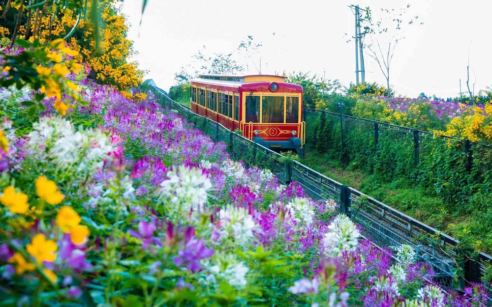 What to See in Sapa. Introduction