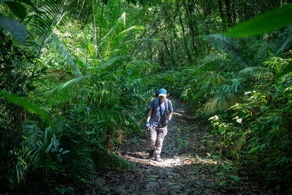When to go to Vietnam. Insect repellent: a must-have for rural adventures in Vietnam