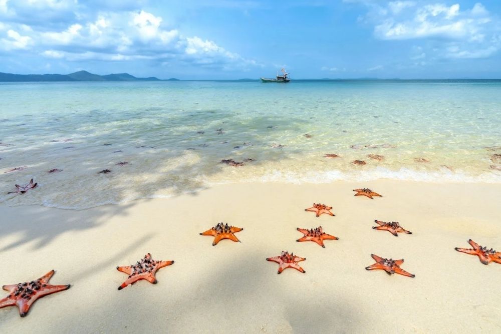 Where To Stay In Phu Quoc. Which area suits your trip: families, couples, first-timers and long stays 