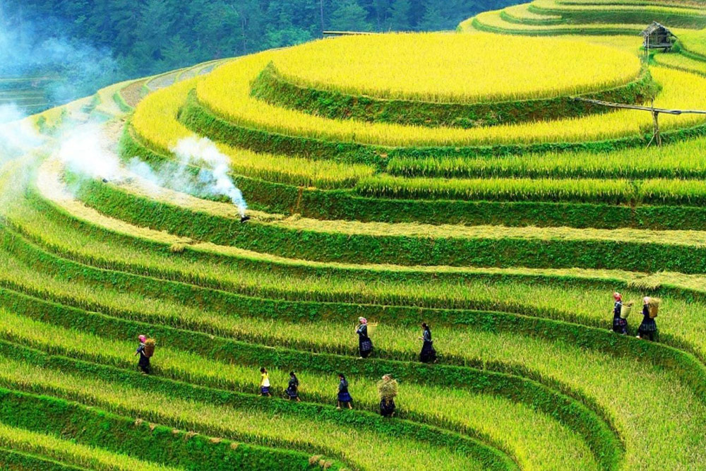 how-to-go-to-sapa-from-singapore-What-is-the-Best-Month-to-Visit-Sapa