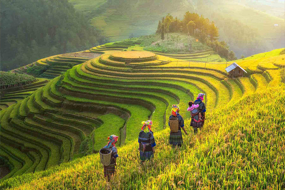 places-to-visit-in-sapa-Best-Time-to-Visit-Sapa