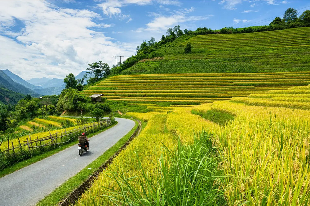 sapa-hanoi-introduction