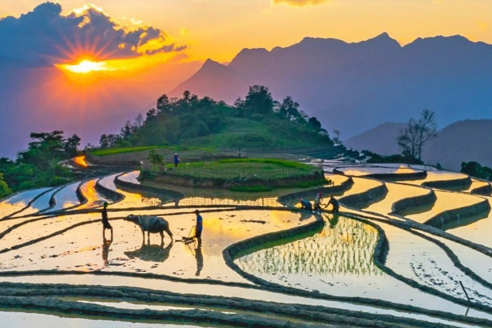 sapa-travel--When-to-Go-Timing-Your-Sapa-Vietnam-Travel-The-Watering-Season-Spring-March-May