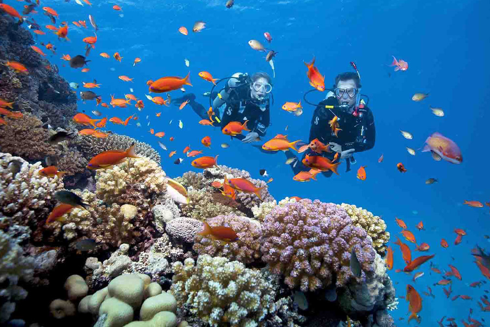 da-nang-or-phu-quoc-Choose-the-Coast-That-Matches-Your-Month