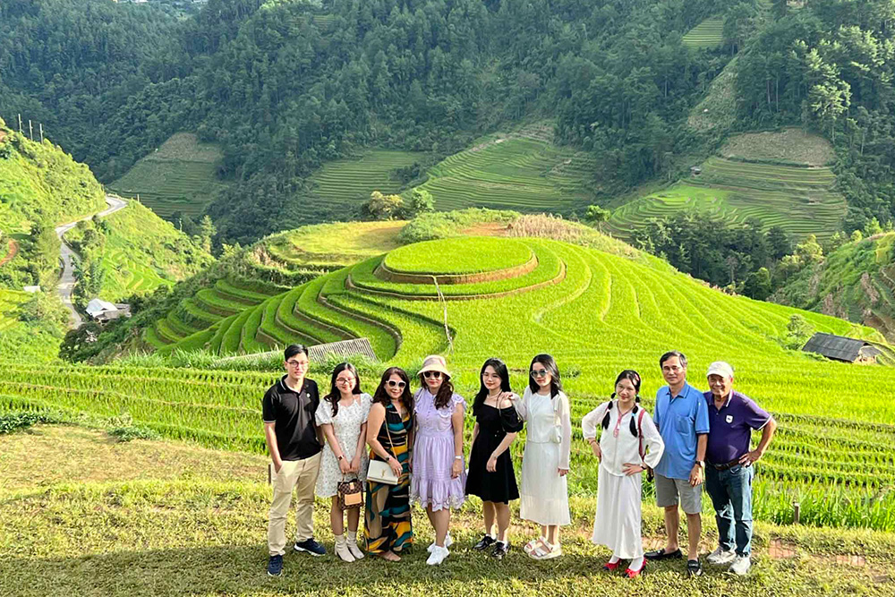 sapa-terrace-field